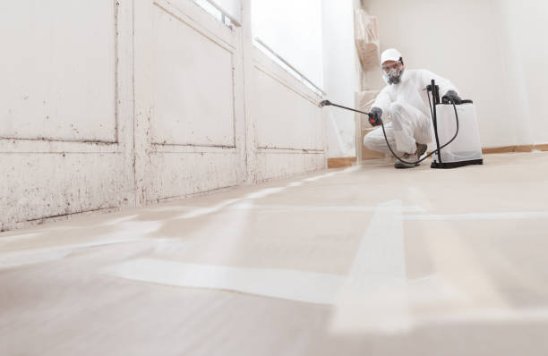 24/7 Emergency Commercial Mold Remediation experts in Worcester, PA